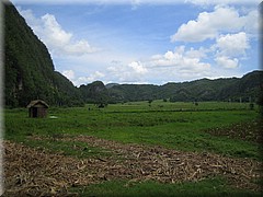 29062005_img_2332_frank.JPG