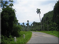 29062005_img_2365_frank.JPG