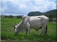 29062005_img_2379_frank.JPG