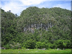 29062005_img_2380_frank.JPG