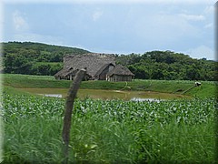 29062005_img_2385_frank.JPG