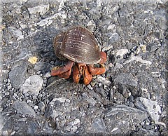 29062005_img_2404_frank.JPG