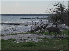 29062005_img_2407_frank.JPG