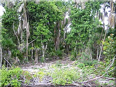 29062005_img_2408_frank.JPG
