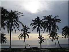 29062005_img_2414_frank.JPG