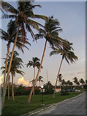29062005_img_2428_frank.JPG