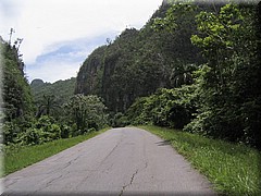 29062005_img_3006_dennis.JPG