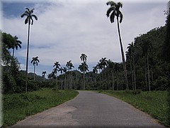 29062005_img_3011_dennis.JPG