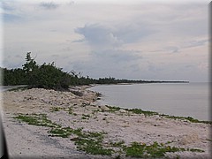 29062005_img_3043_dennis.JPG