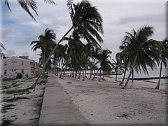 29062005_img_3044_dennis.JPG