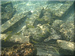 30062005_img_2478_frank.JPG