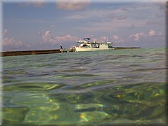 30062005_img_2489_frank.JPG