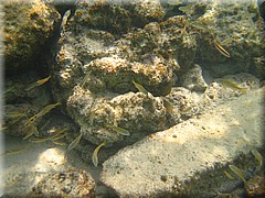 30062005_img_2496_frank.JPG