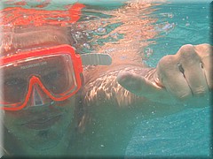30062005_img_2536_frank.JPG