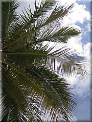 30062005_img_2541_frank.jpg