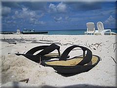 30062005_img_2550_frank.JPG