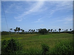 30062005_img_2621_frank.JPG
