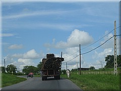 30062005_img_2625_frank.JPG