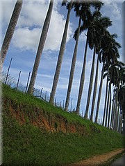 30062005_img_2626_frank.JPG