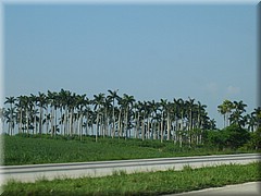 30062005_img_2636_frank.JPG