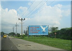 30062005_img_2650_frank.JPG
