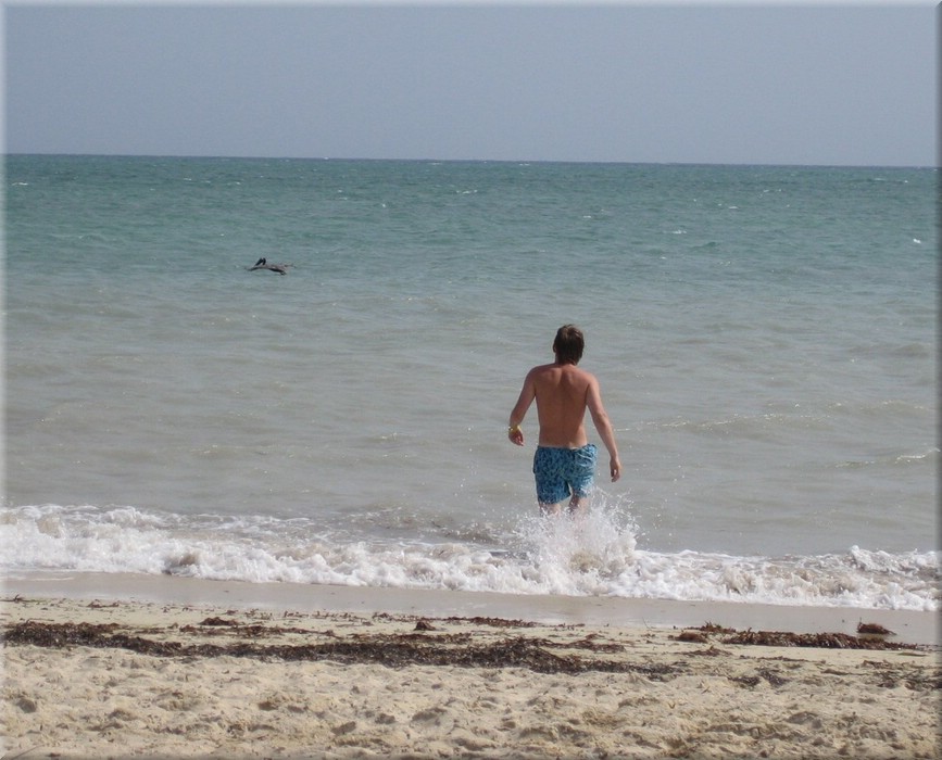 03072005_img_2931_frank.JPG