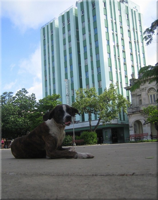 07072005_img_3479_frank.jpg
