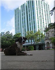 07072005_img_3479_frank.jpg