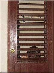 08072005_img_3526_frank.JPG