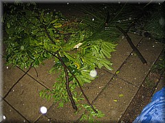 08072005_img_3548_frank.JPG