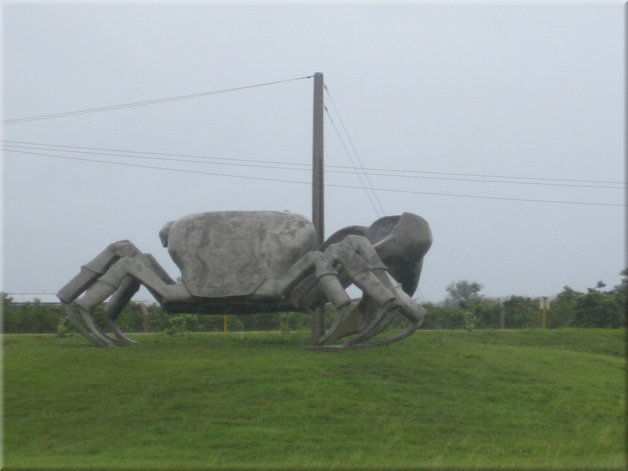 09072005_img_3641_frank.JPG