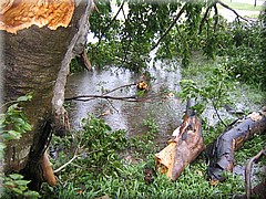 09072005_img_3279_dennis.JPG