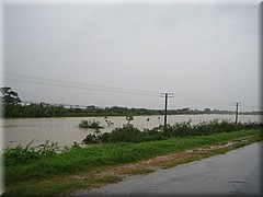 09072005_img_3578_frank.JPG