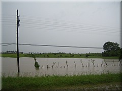 09072005_img_3585_frank.JPG