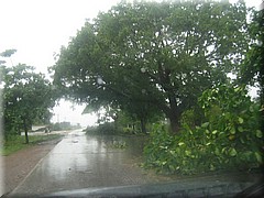 09072005_img_3592_frank.JPG