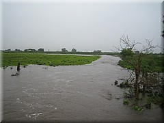 09072005_img_3594_frank.JPG