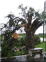 09072005_img_3624_frank.JPG