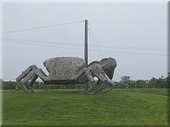 09072005_img_3641_frank.JPG