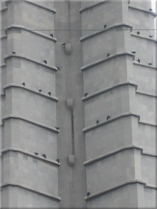 10072005_img_3774_frank.JPG