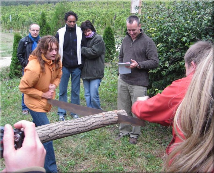 ungarn20080107.JPG
