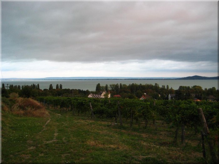 ungarn20080354.JPG
