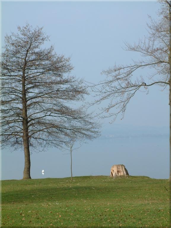 017Sursee.JPG