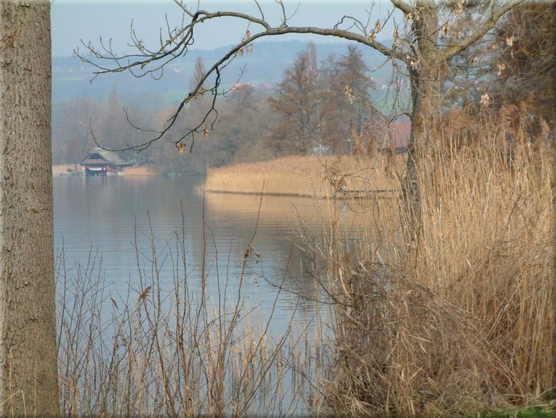 020Sursee.JPG