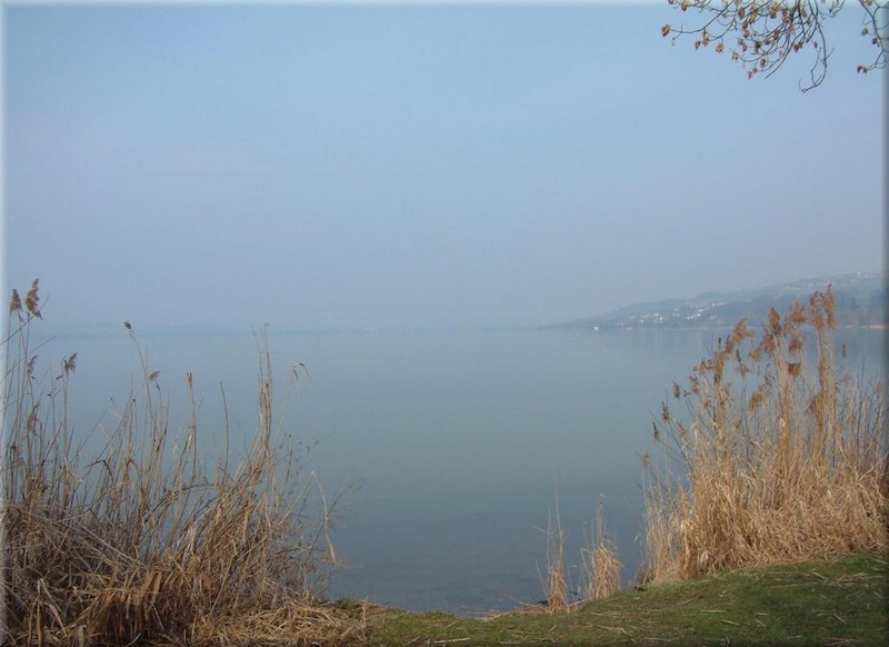021Sursee.JPG