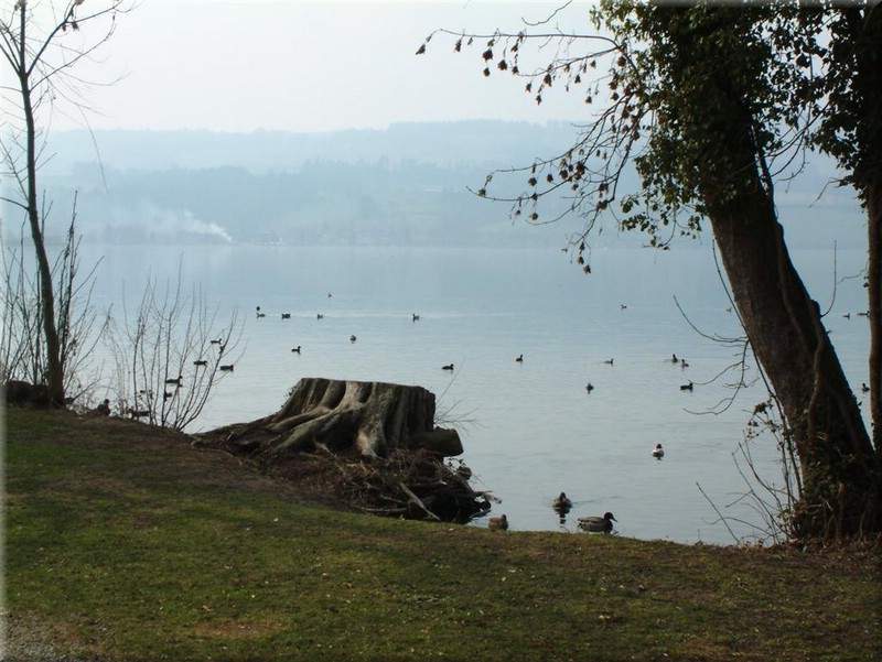 031Sursee.JPG