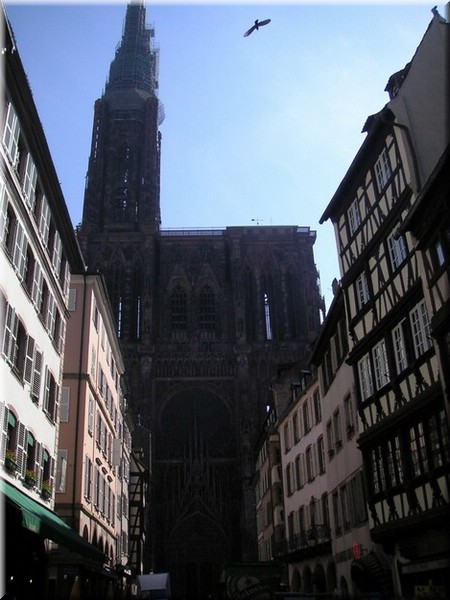 01Strasbourg036.jpg