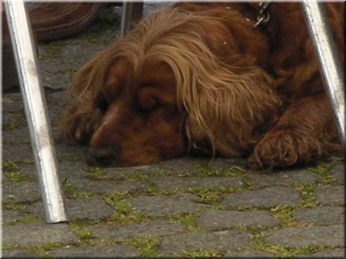 02Freiburg022.jpg