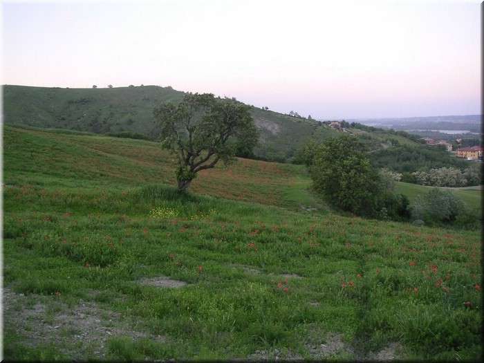 08unterParma001.jpg