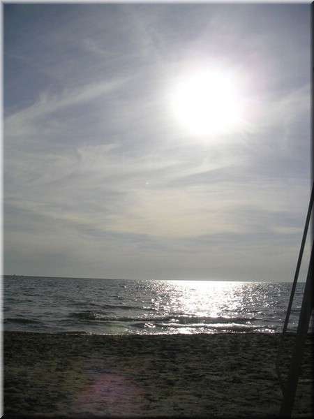 21Viareggio008.JPG