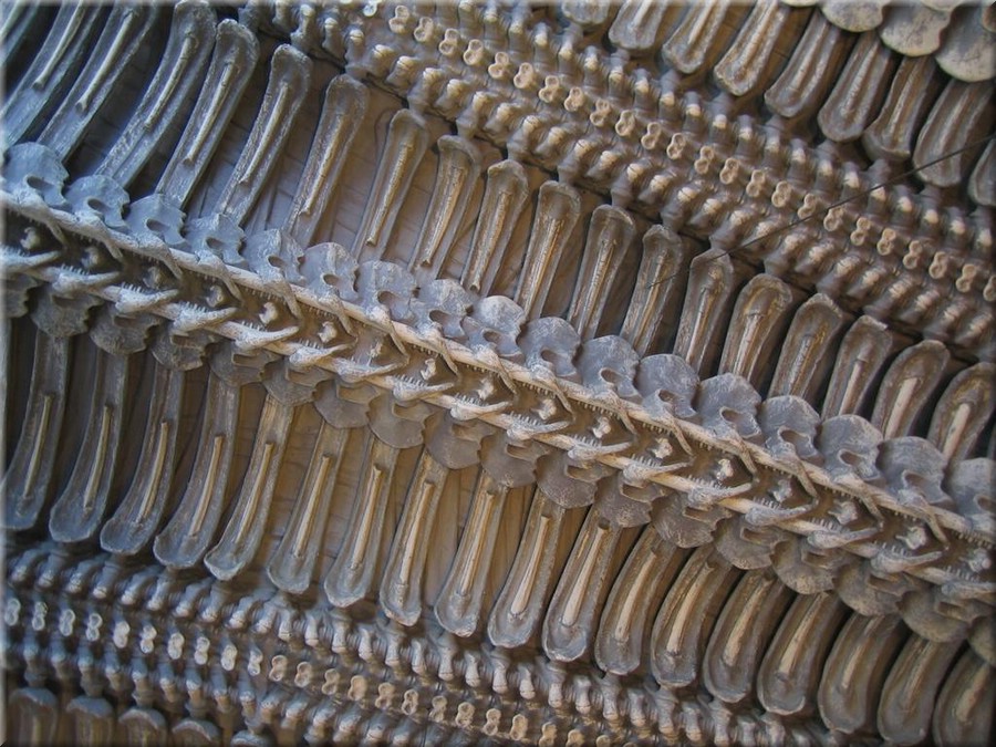 img_0065_giger.jpg